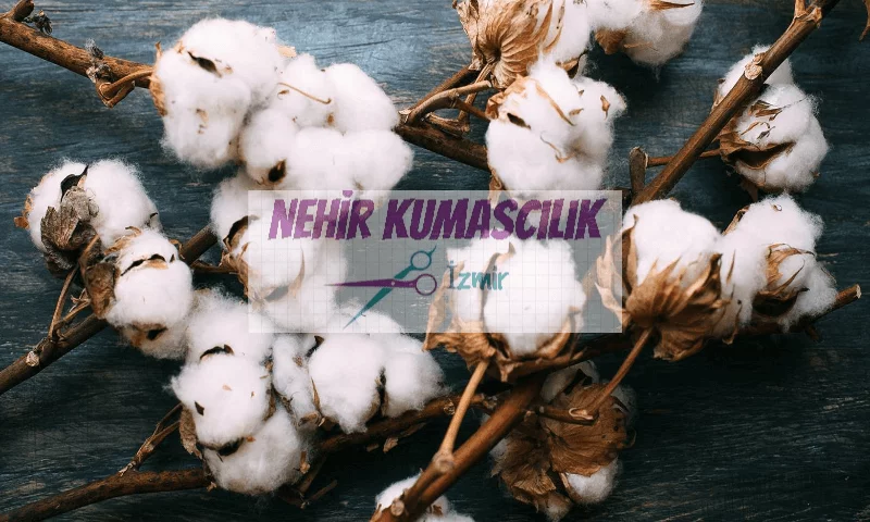 vegan-cevre-dostu-kumas